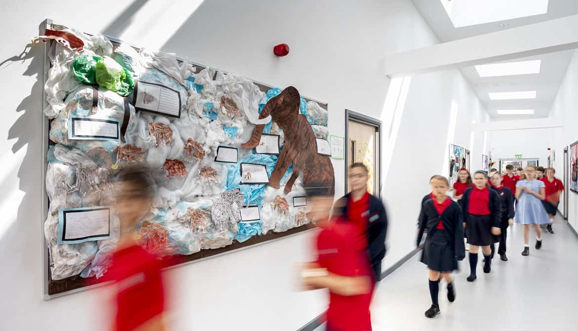 Leesons Primary school expansion interior