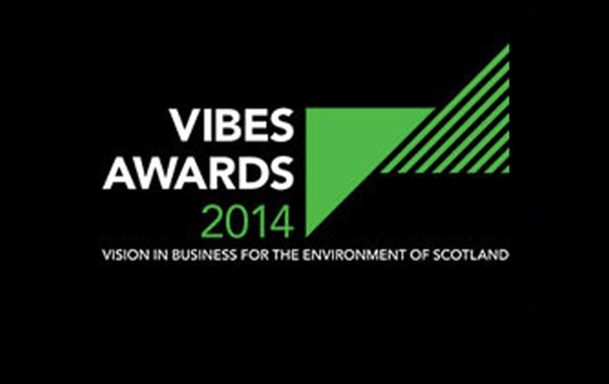 Vibes Awards